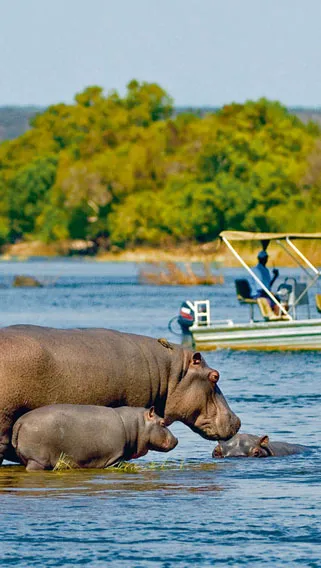 Lower Zambezi National Park image 3