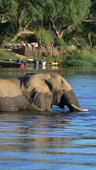 Lower Zambezi National Park image 4