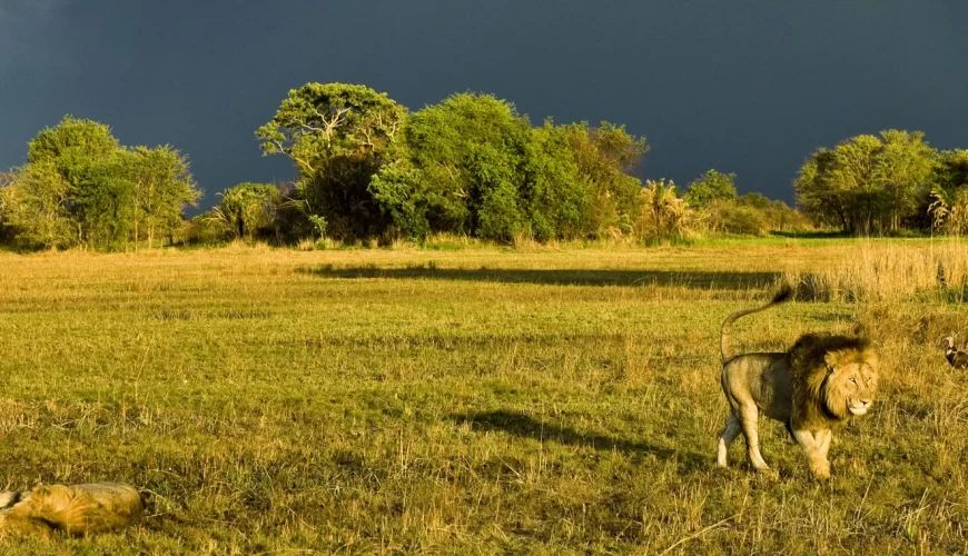 Kafue National Park