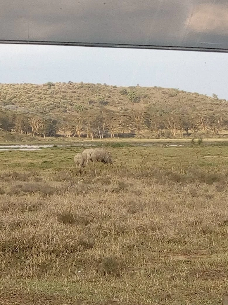 Safari Enkop Africa (9 Days)