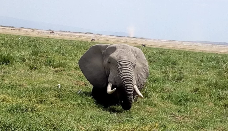 3 Days Samburu Safari
