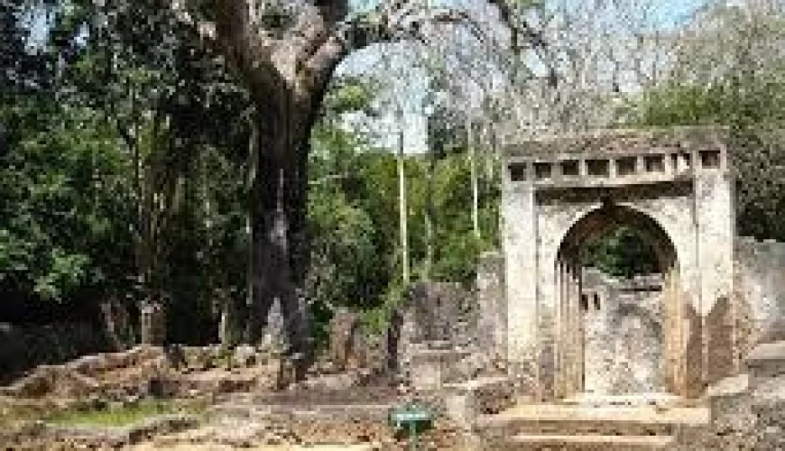 Malindi, Gedi Ruins & Marine Park Tour
