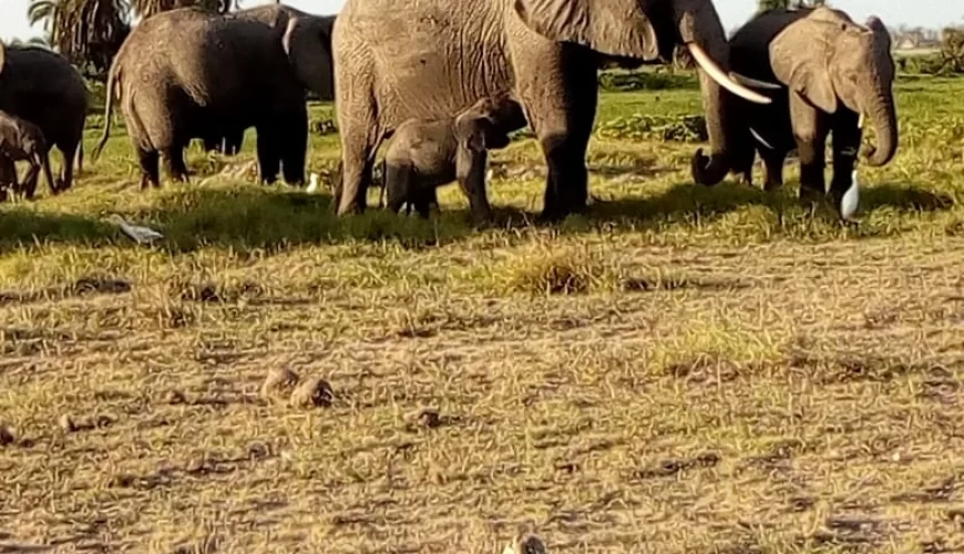 Wonders of Tanzania