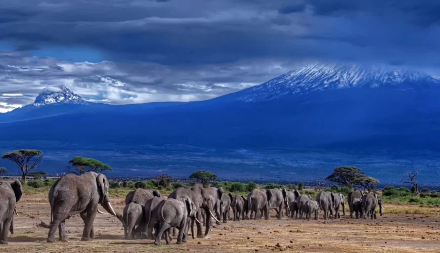 Kilimanjaro National Park