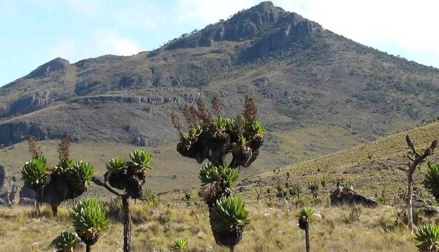 Mt Elgon National Park
