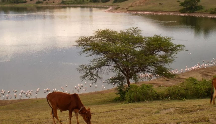Lake Simbi National Santuary