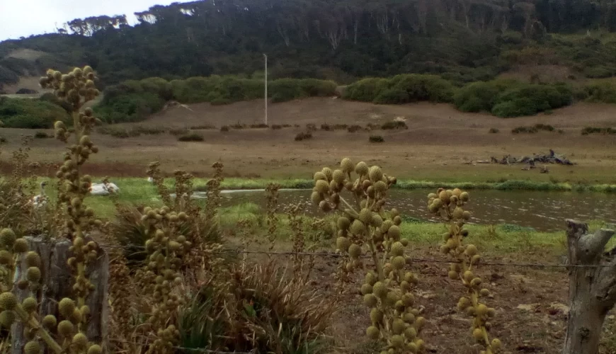 Mwea National Park