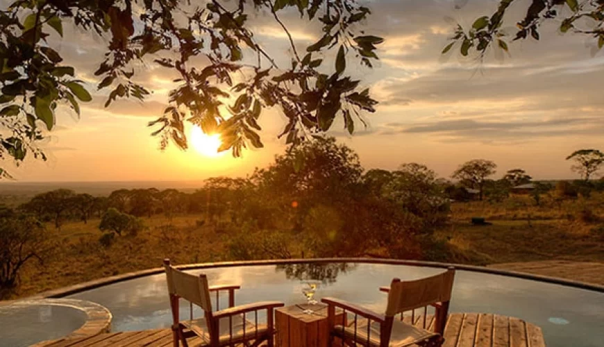Serengeti Bushtops