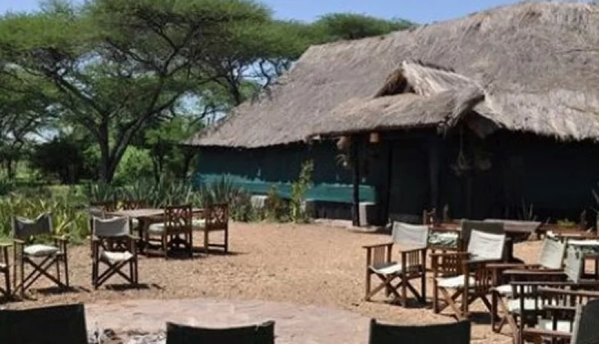 Ikoma Bush Camp
