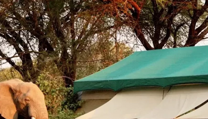Old Mdonya River Camp