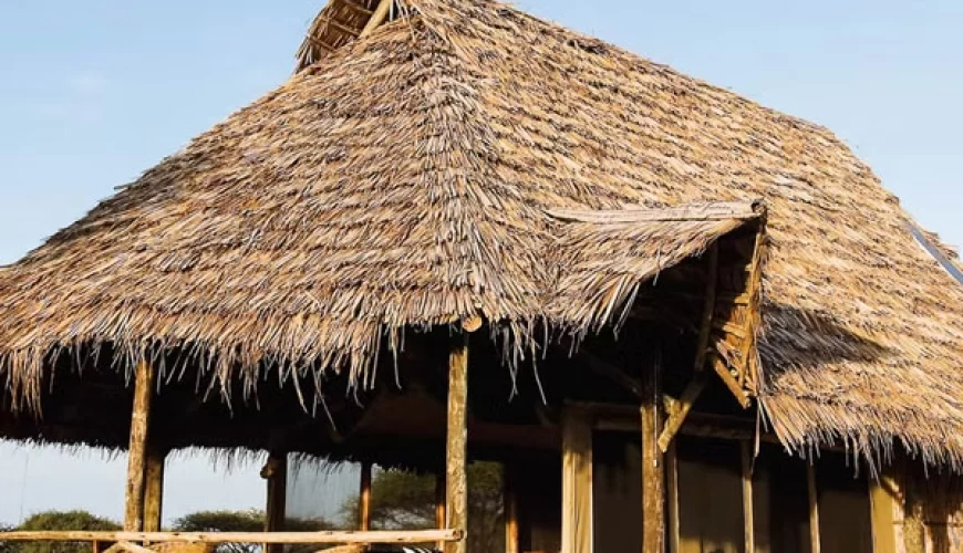 Kambi ya Tembo