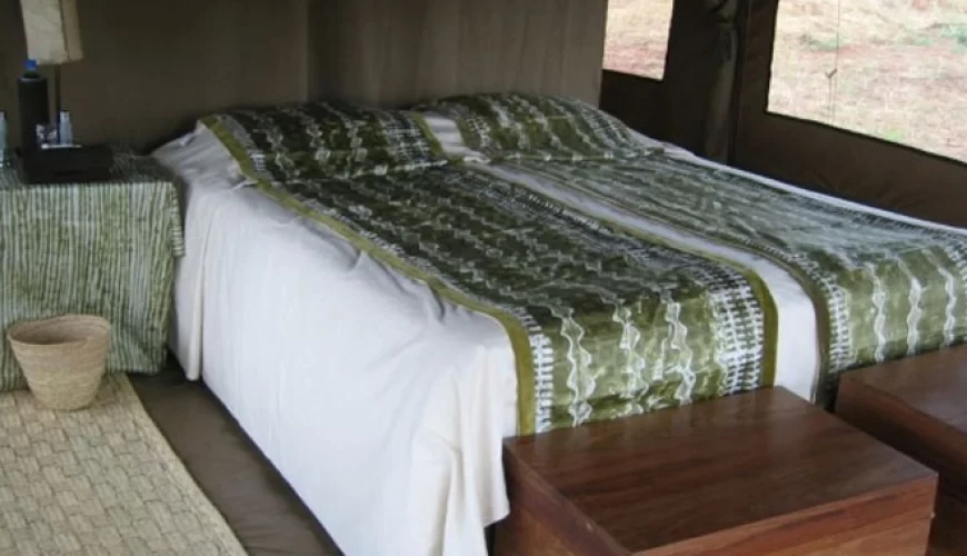 Babu's Camp