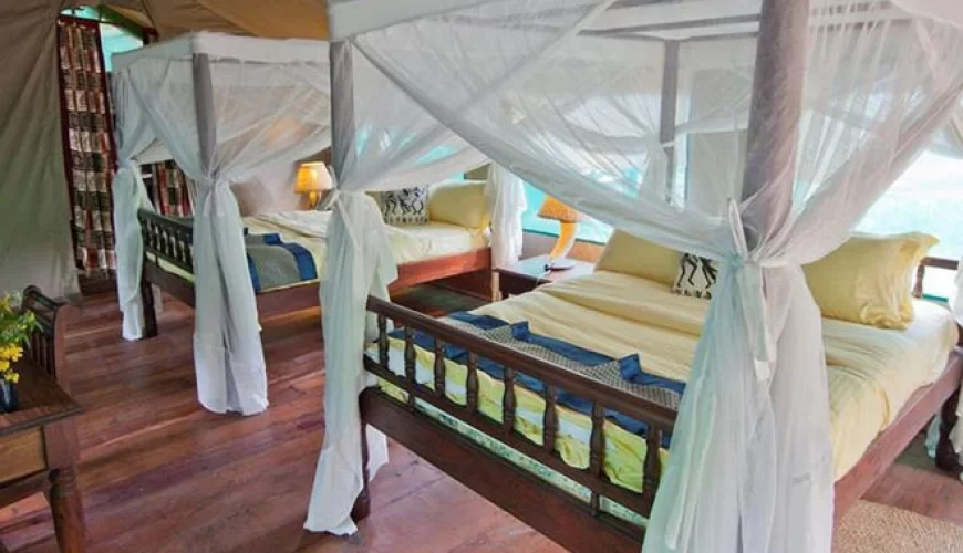 Gombe Forest Lodge