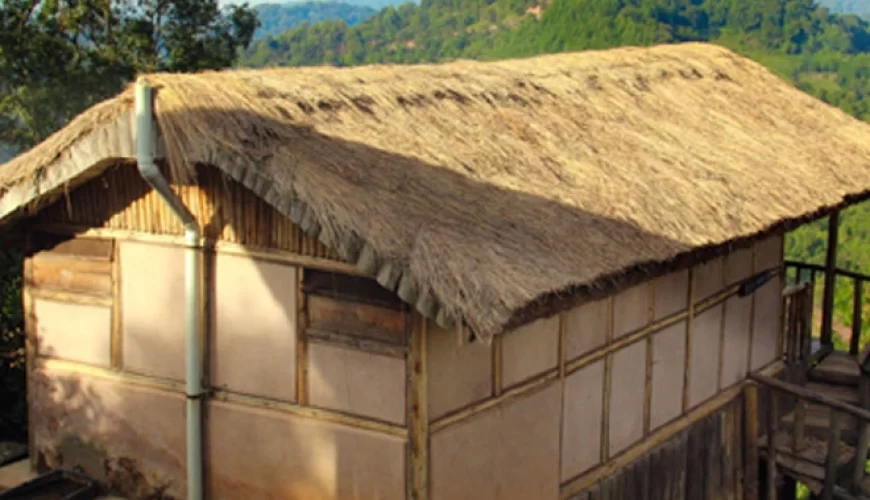 Gorilla Mist Camp