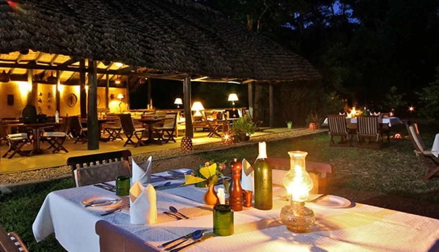 Wilderness Camp