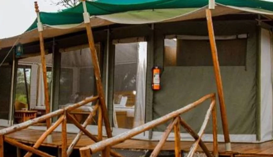 Serengeti Under Canvas