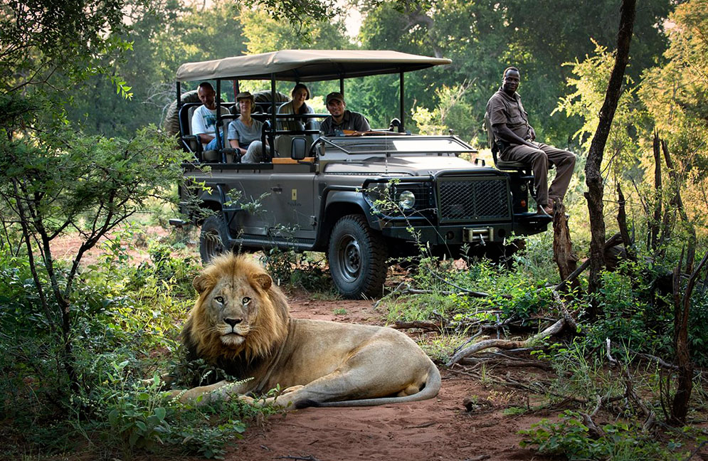 African Safari Cost Guide 2026: Budget, Mid-Range & Luxury Safari Packages