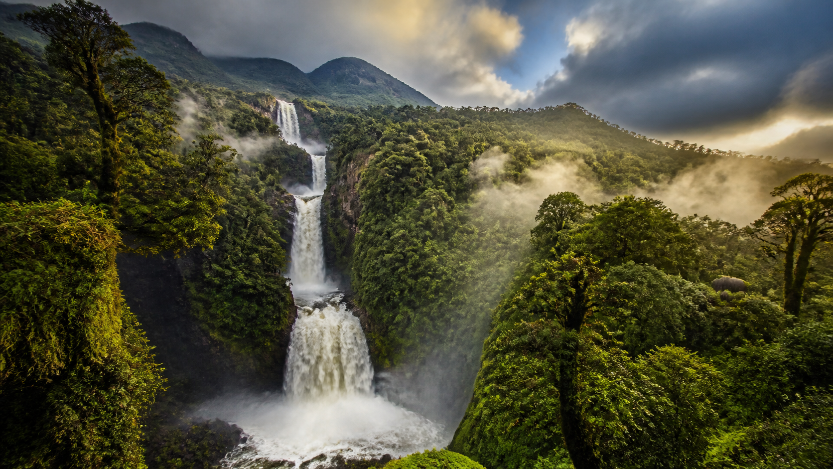 Aberdare National Park