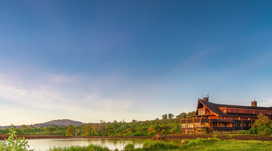 The Ark Lodge