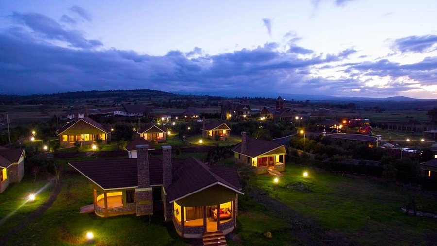 Giraffe Ark Game Lodge