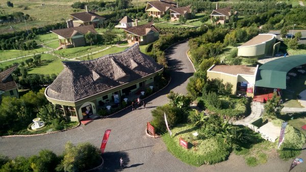 Giraffe Ark Game Lodge