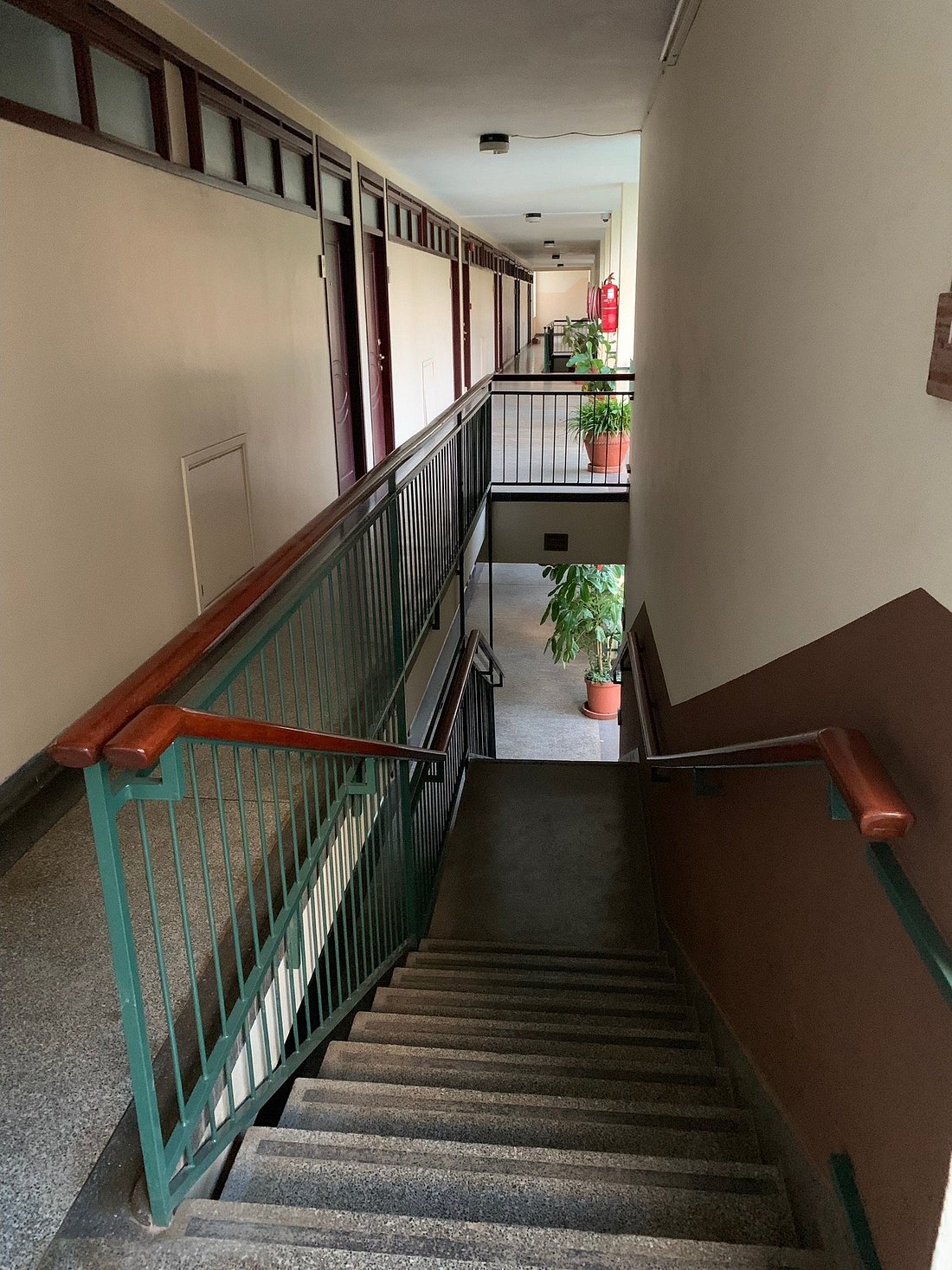 Jacaranda Hotel