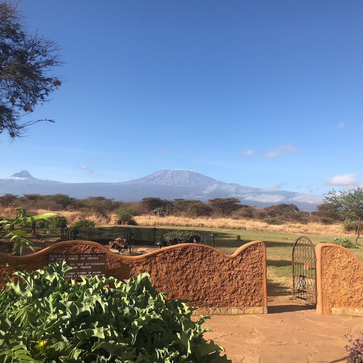 Amboseli Sopa Lodge
