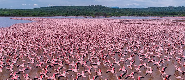 Lake Baringo National Reserve