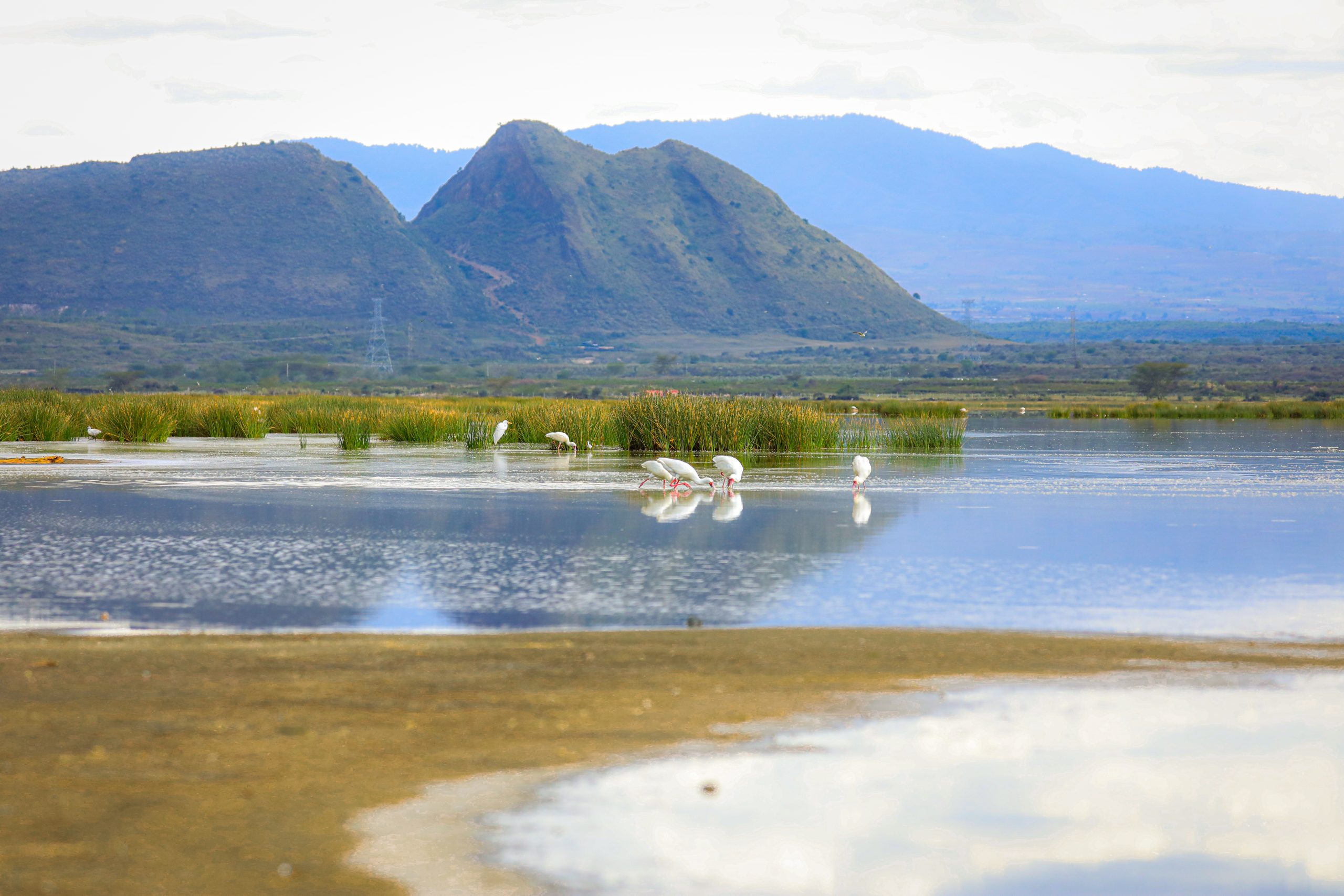 Lake Elementaita Wildlife Sanctuary image 5