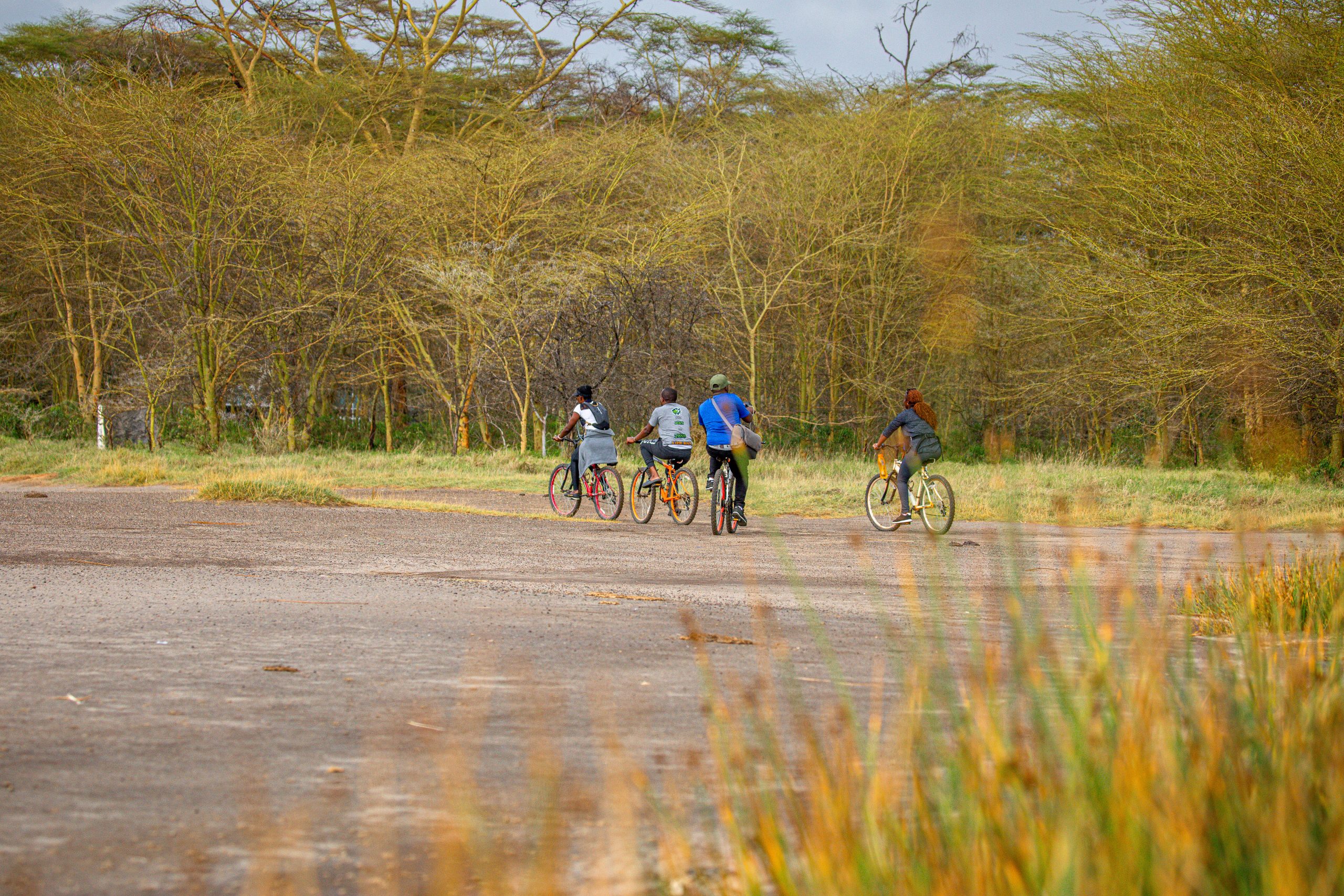 Lake Elementaita Wildlife Sanctuary image 2