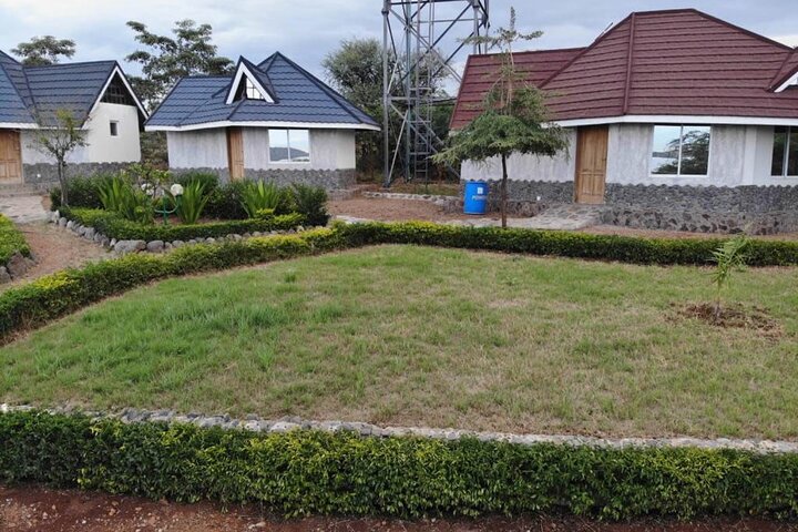 Royal Doves Garden