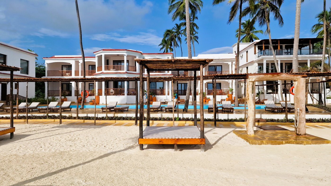 Dream Of Zanzibar