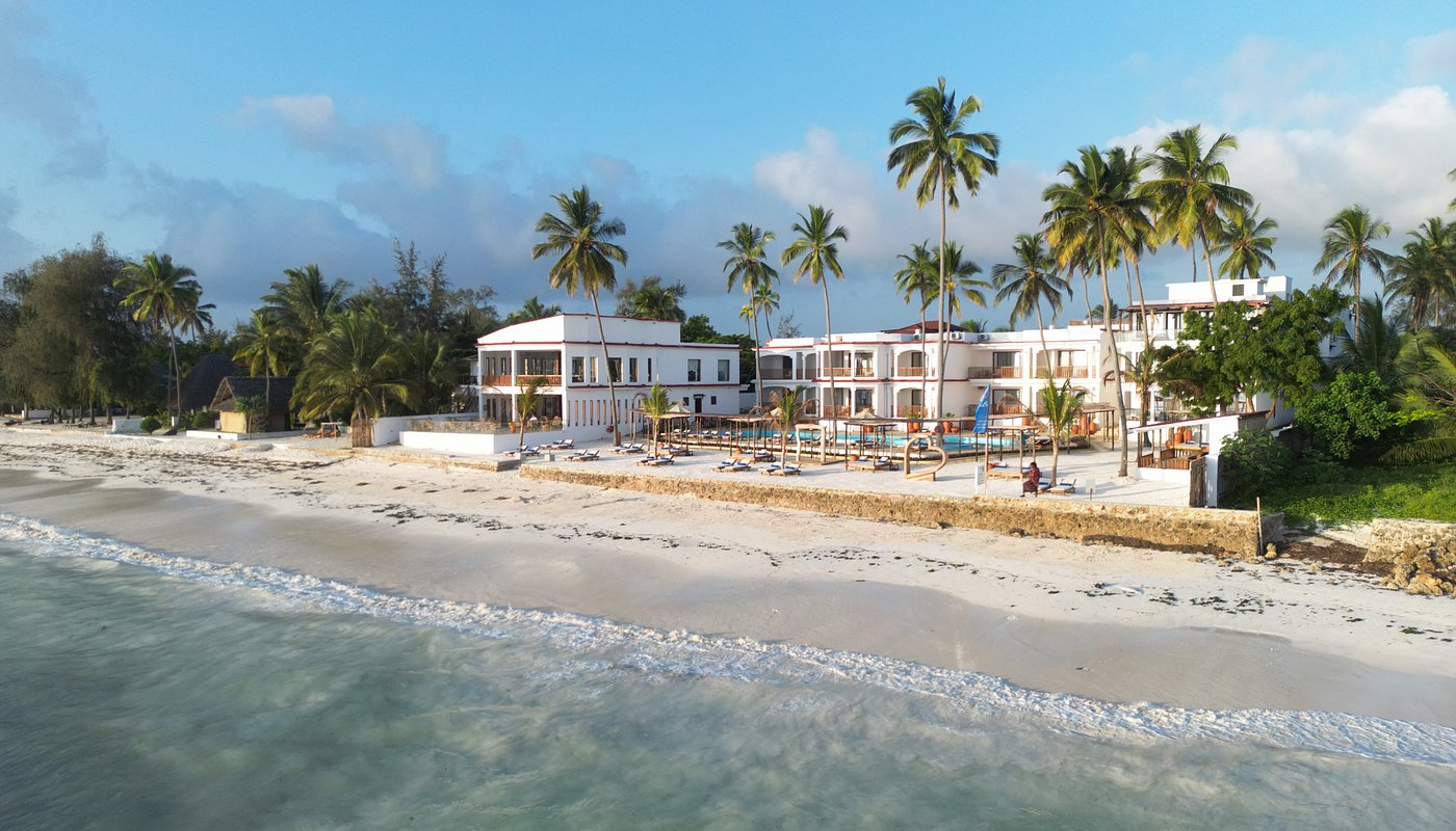 Dream Of Zanzibar