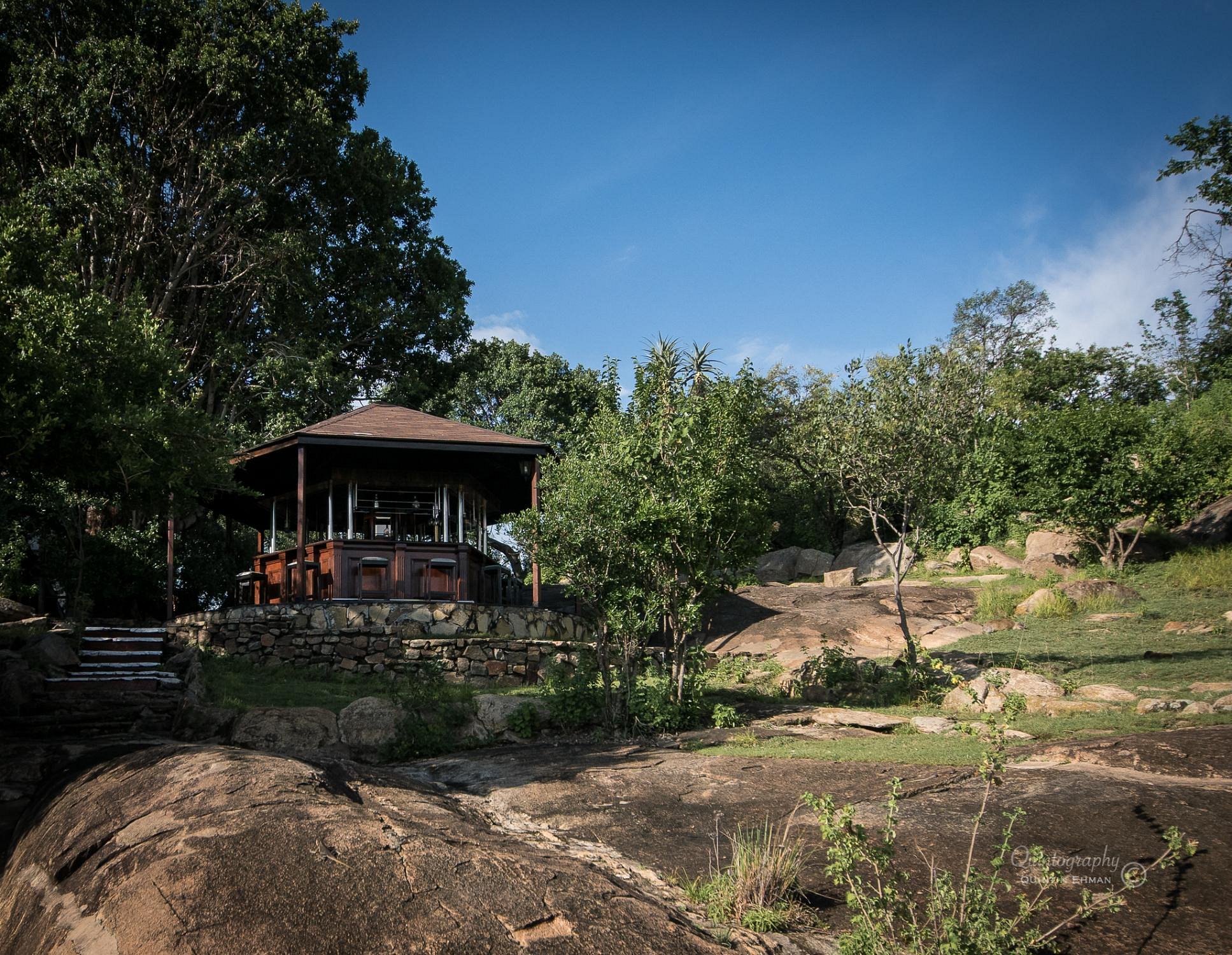 Lobo Wildlife Lodge image 1