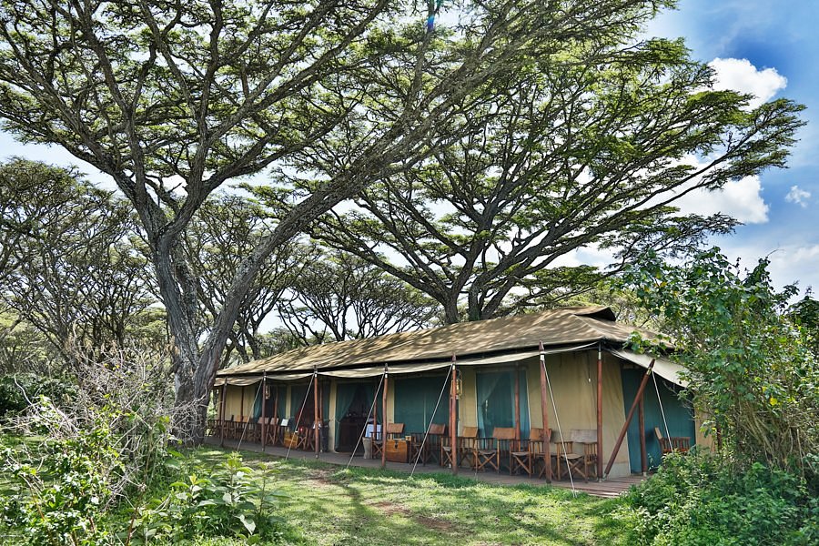 Lemala Ngorongoro Tented Camp image 2