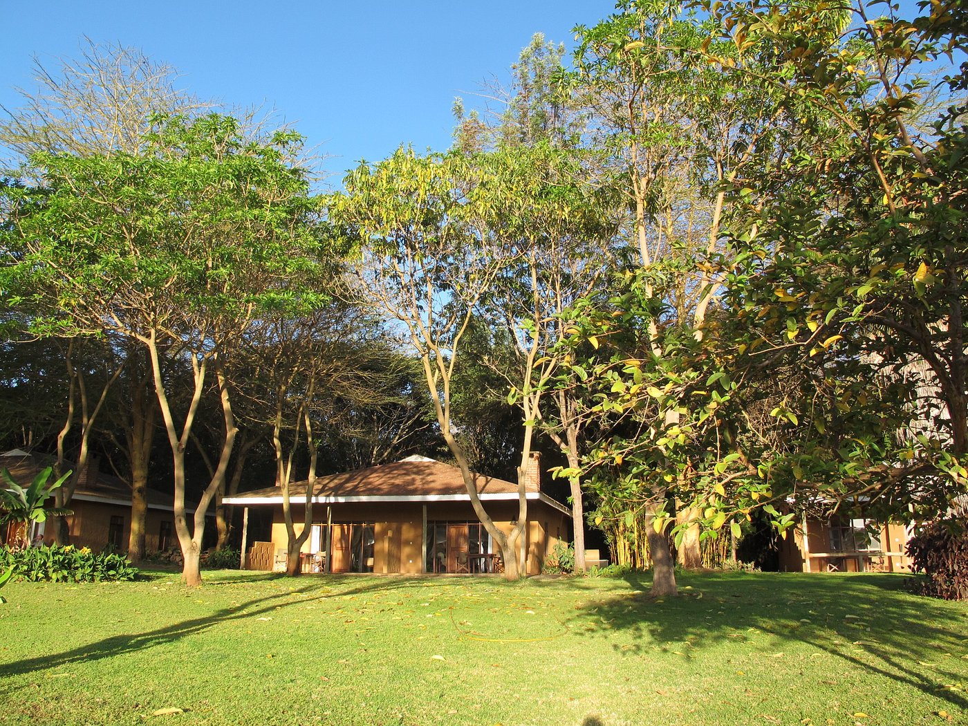 Ngorongoro Farm House image 1
