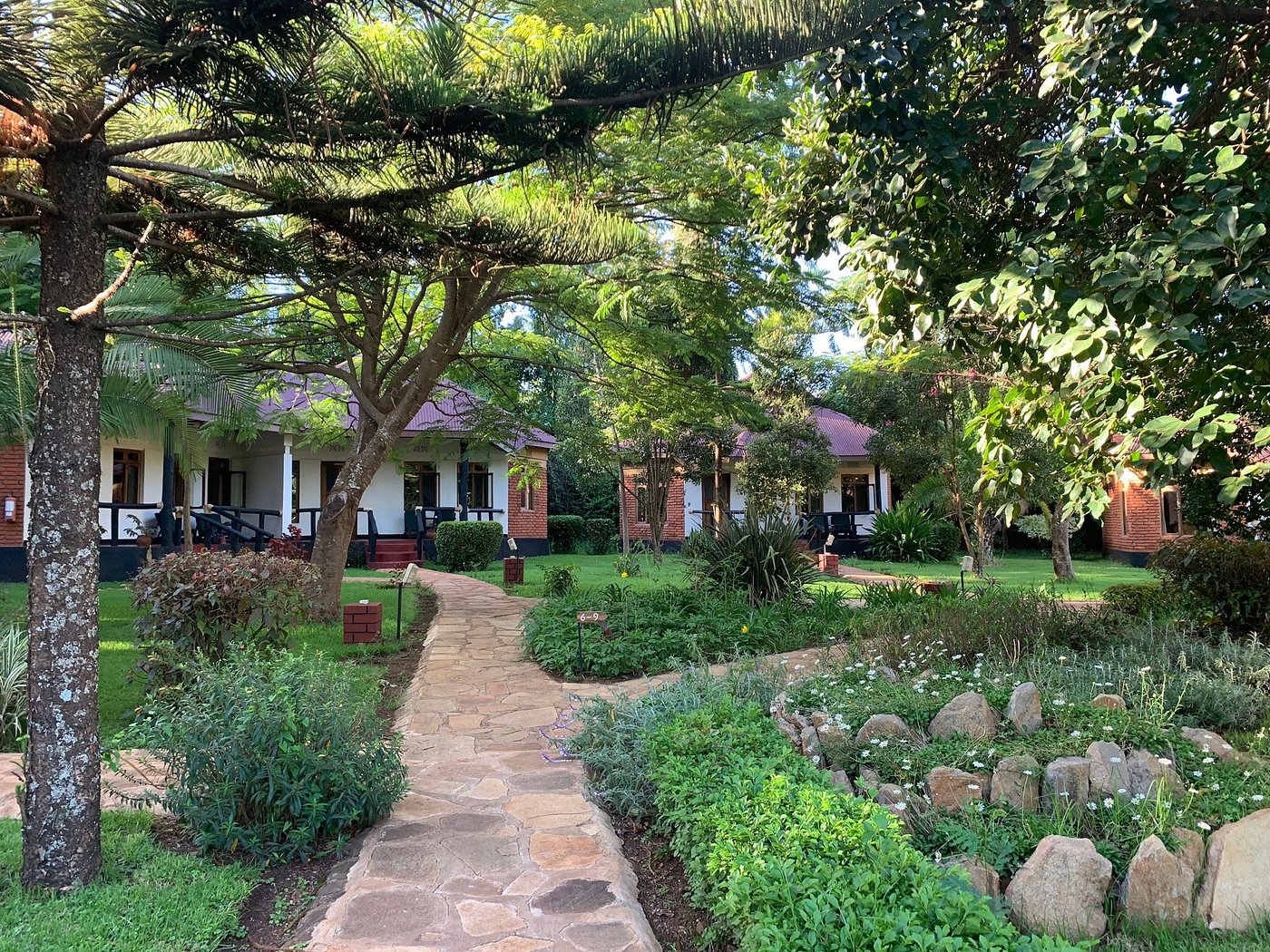 Bougainvillea Safari Lodge image 1