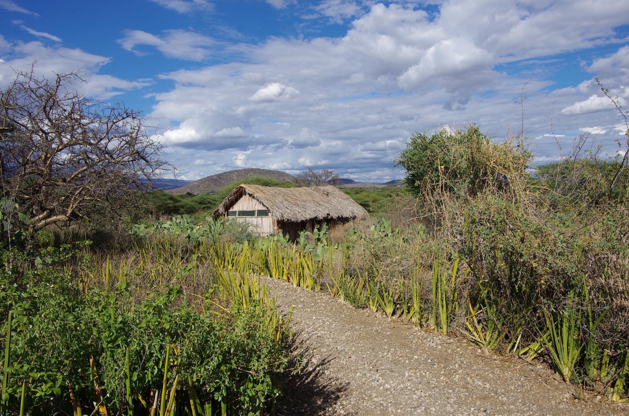 Tindiga Tented Camp image 2