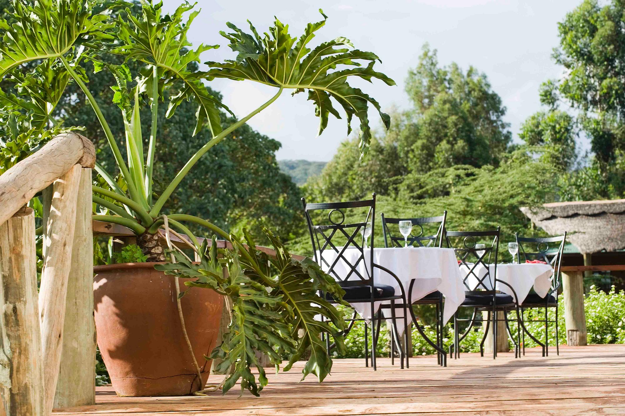Tloma Lodge image 1