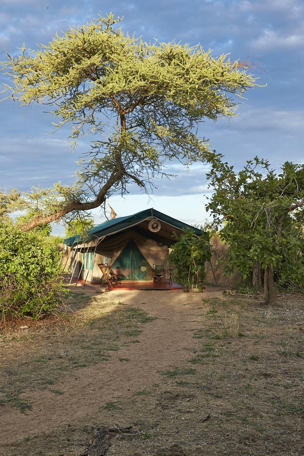 Mdonya Old River Camp image 3