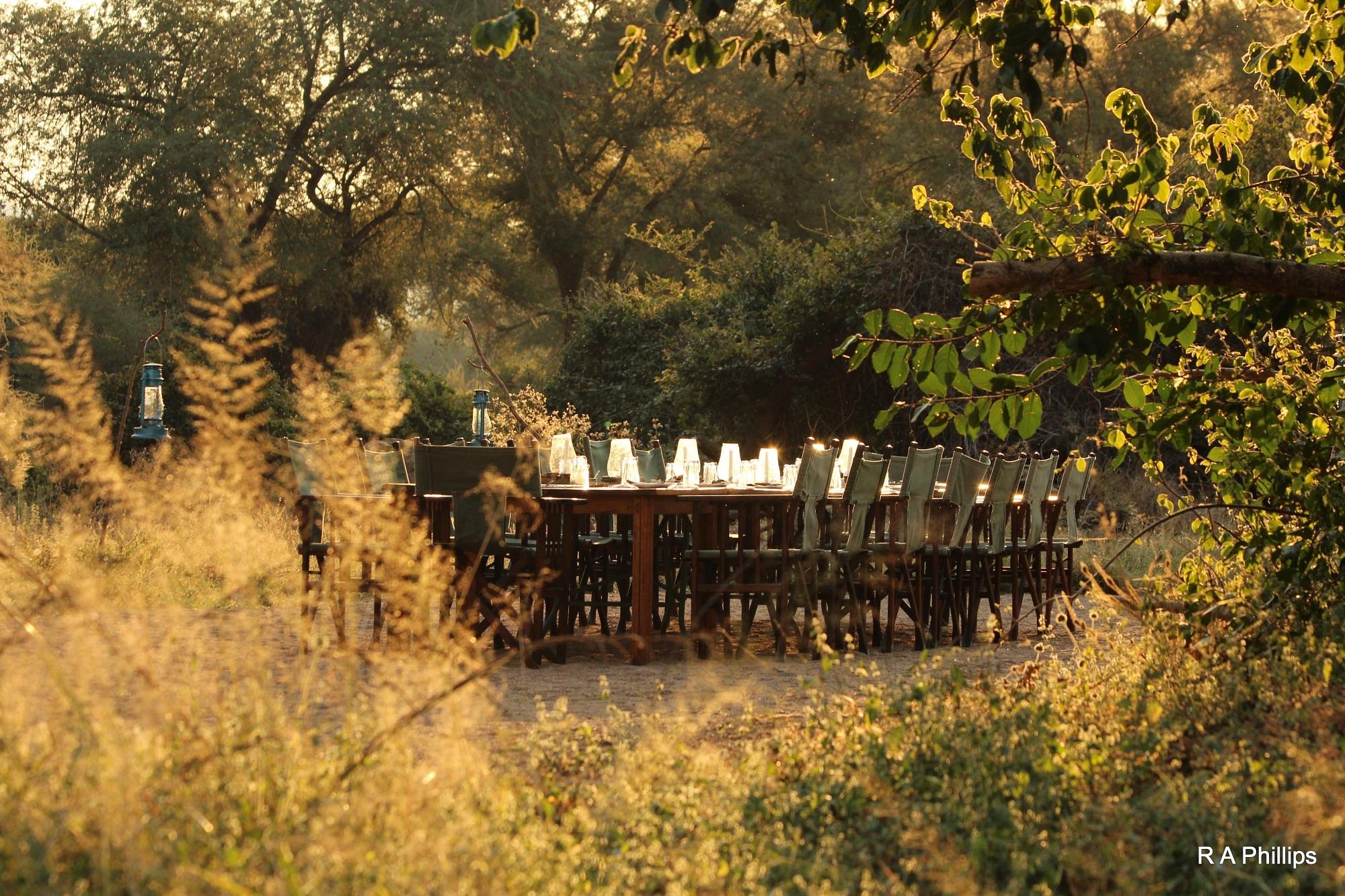 Mdonya Old River Camp image 2