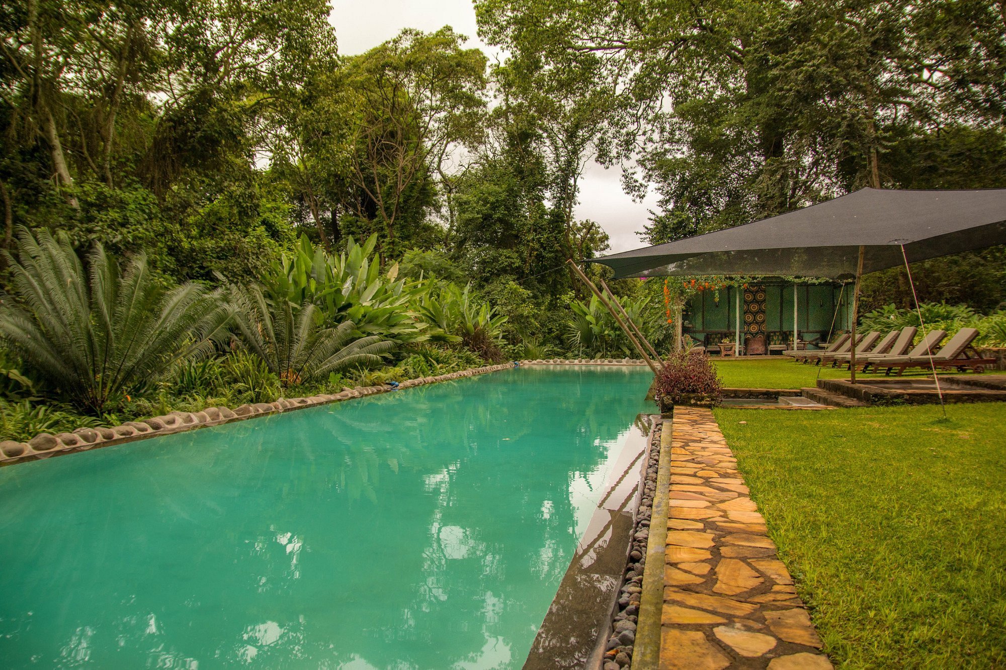 Ngare Sero Mountain Lodge image 4