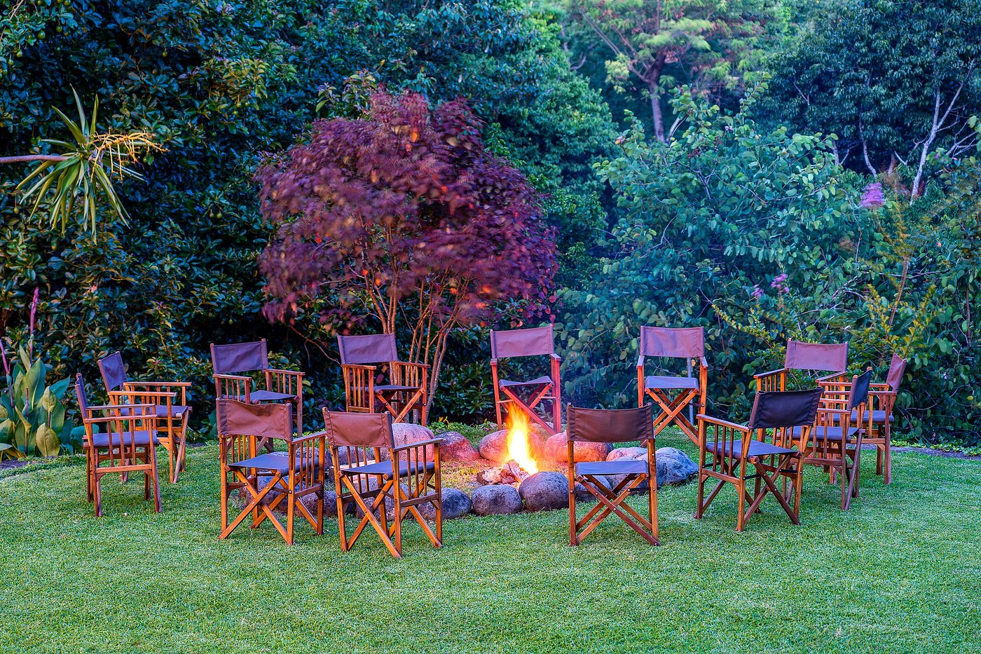 Ngare Sero Mountain Lodge image 2