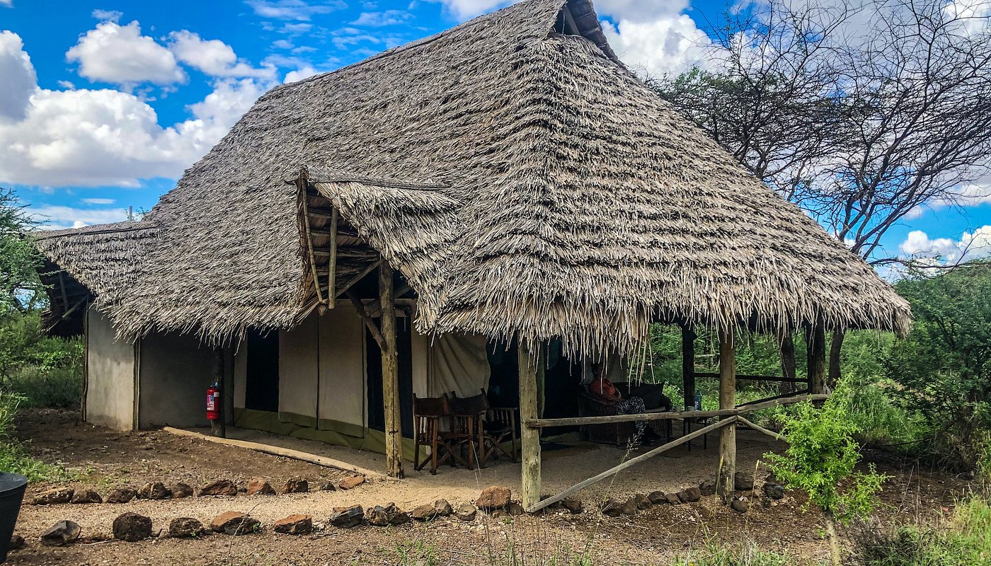 Kambi Ya Tembo Camp image 1