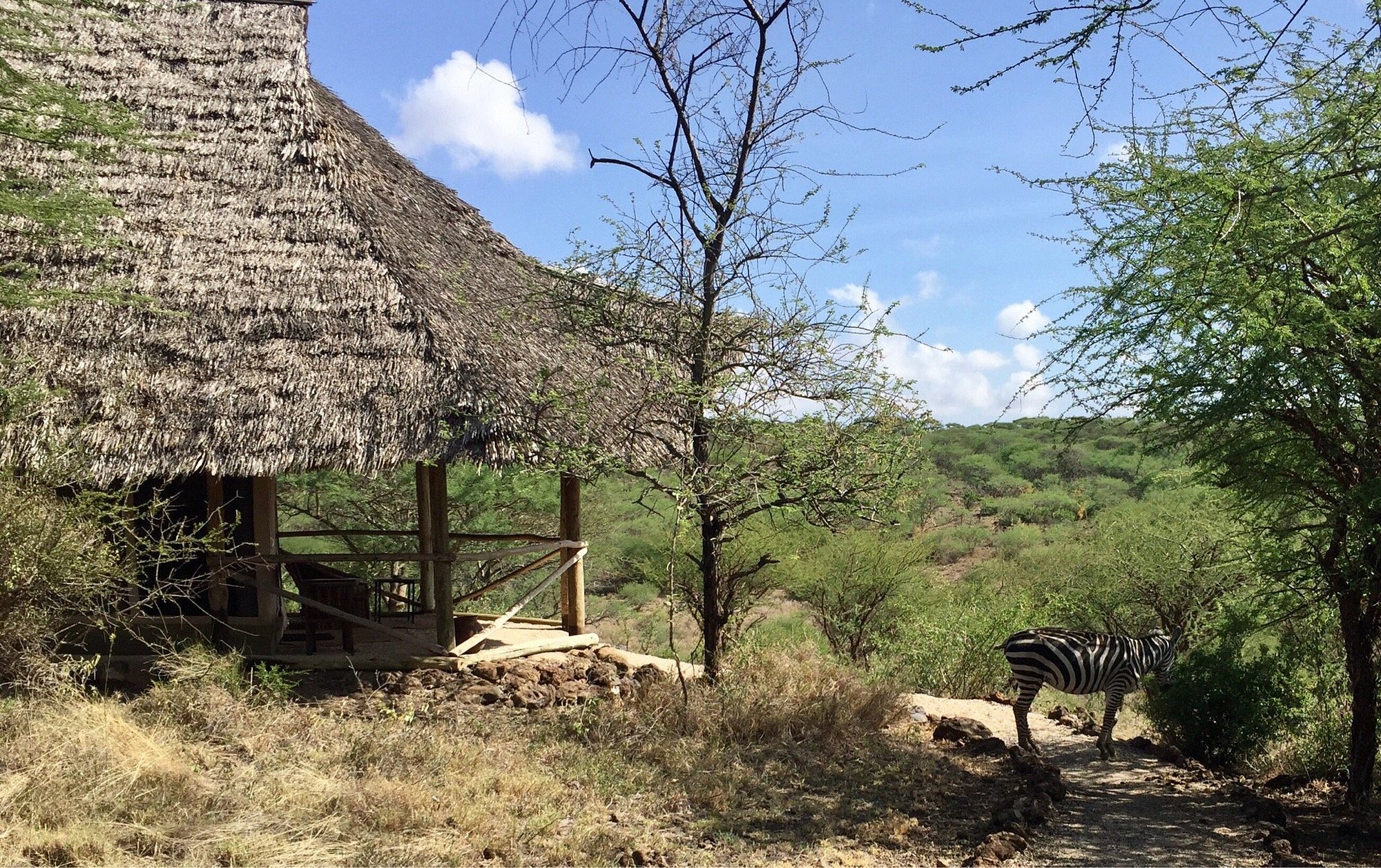 Kambi Ya Tembo Camp