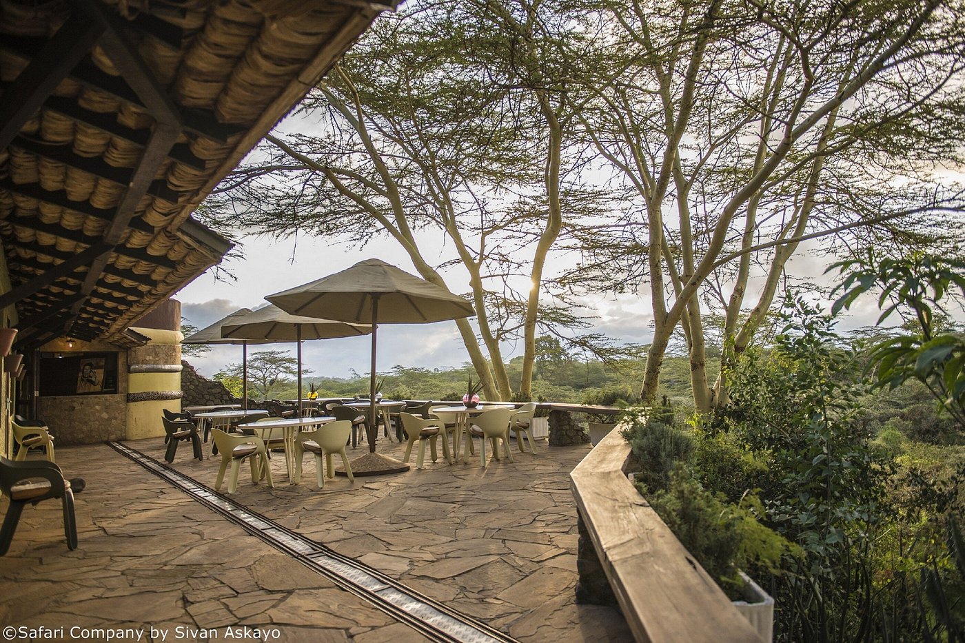 Hatari! Hotel image 3