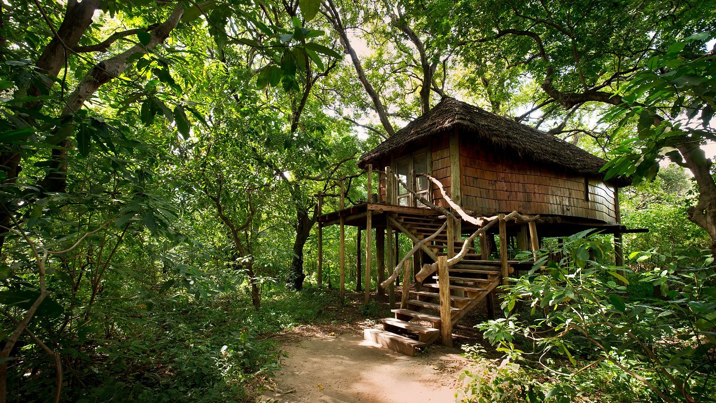 andBeyond Lake Manyara Tree Lodge image 1