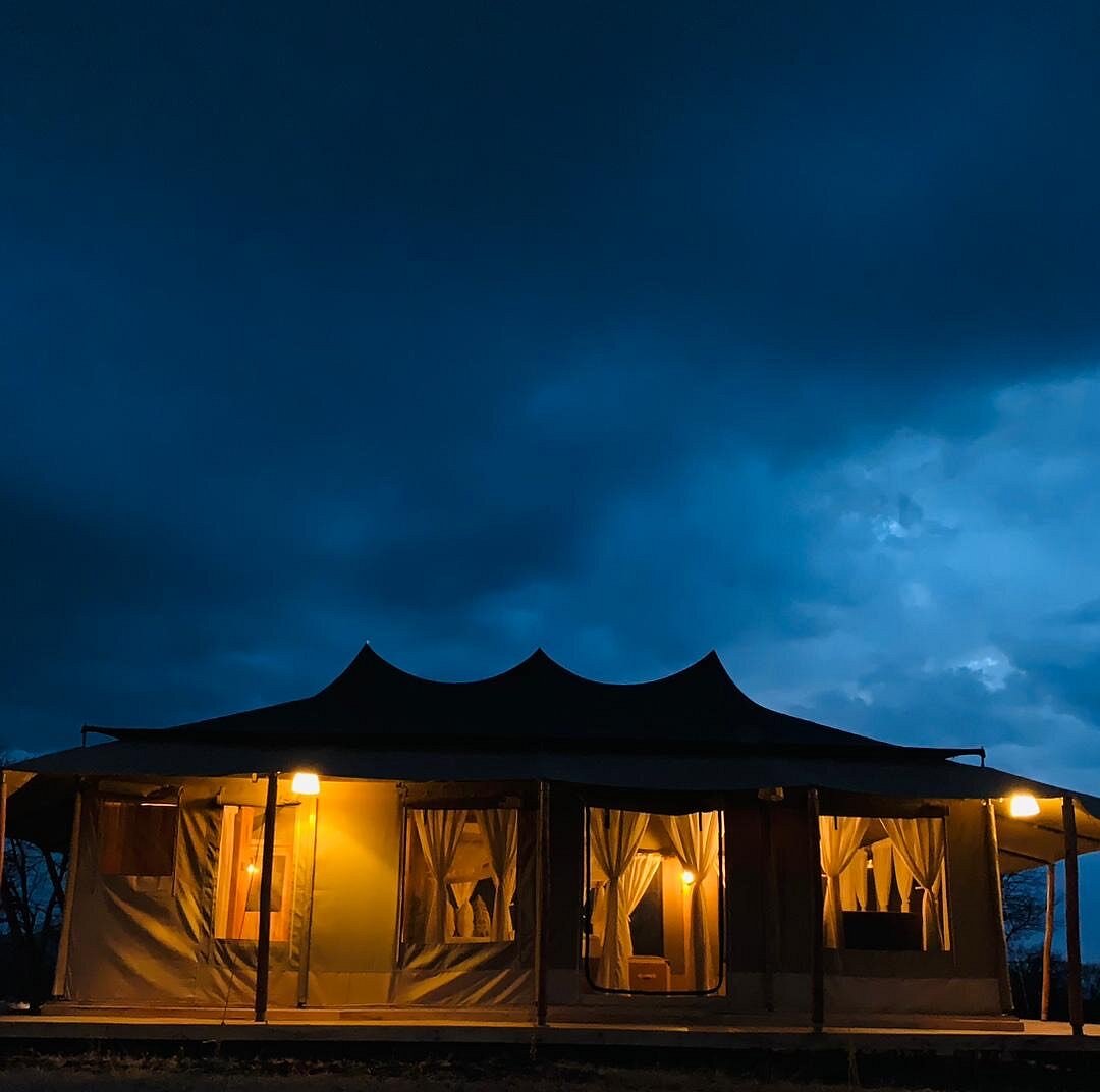 Into Wild Africa Luxury Safari Lodge