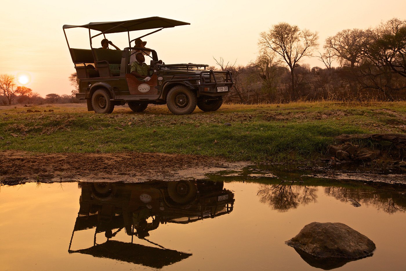 Ruaha River Lodge image 2