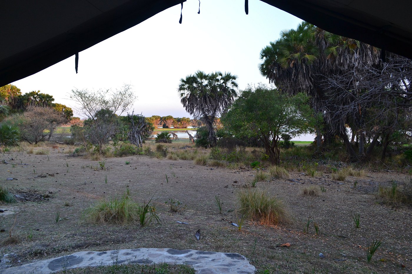 Lake Manze Camp image 2